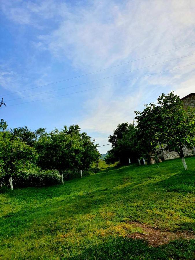Guest House Ijevan'S Garden Exterior photo