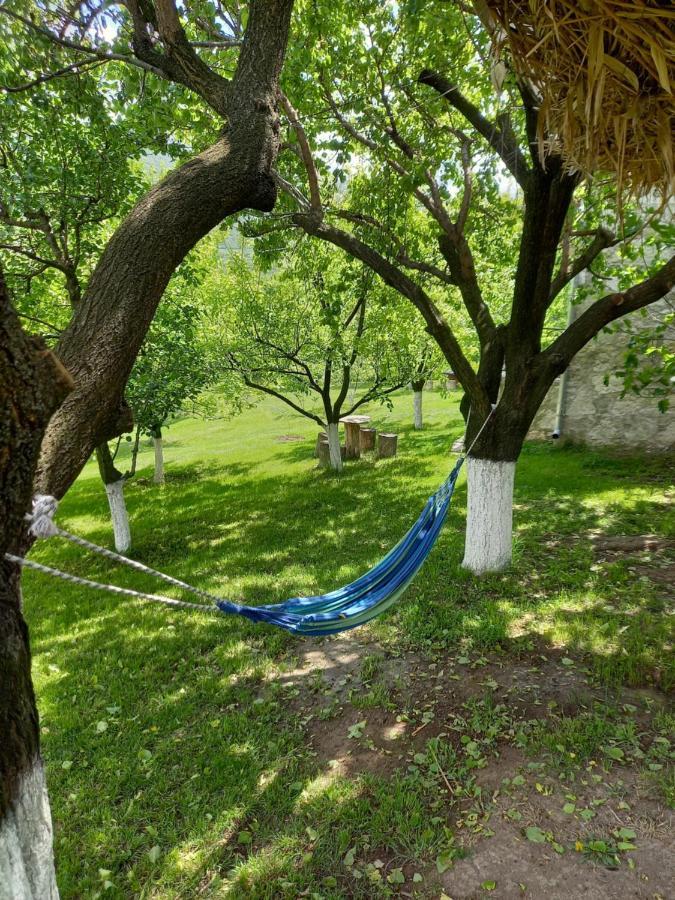 Guest House Ijevan'S Garden Exterior photo
