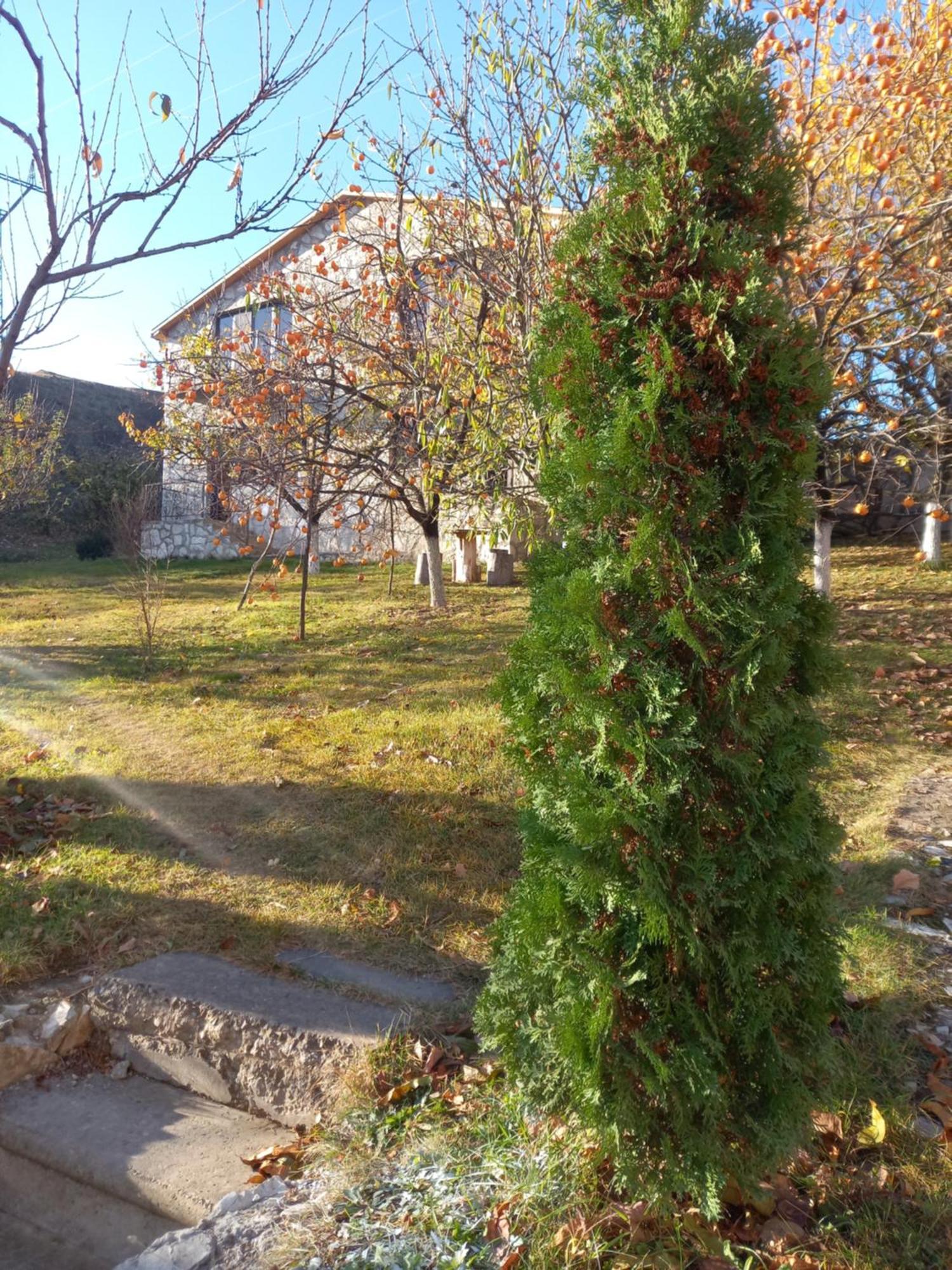 Guest House Ijevan'S Garden Exterior photo