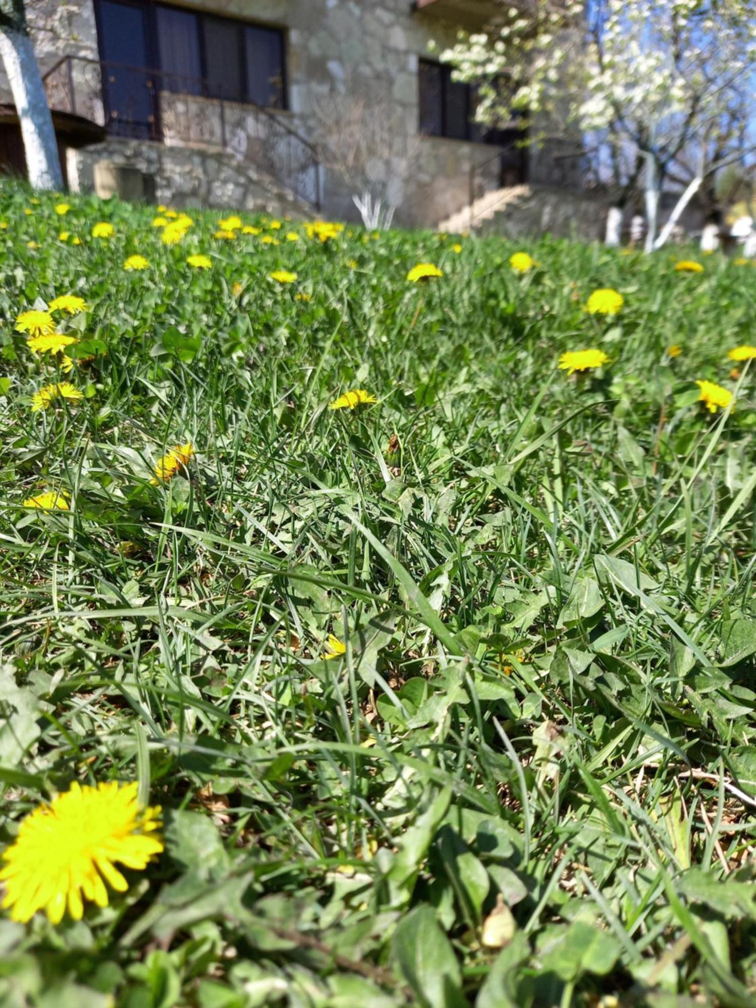 Guest House Ijevan'S Garden Exterior photo