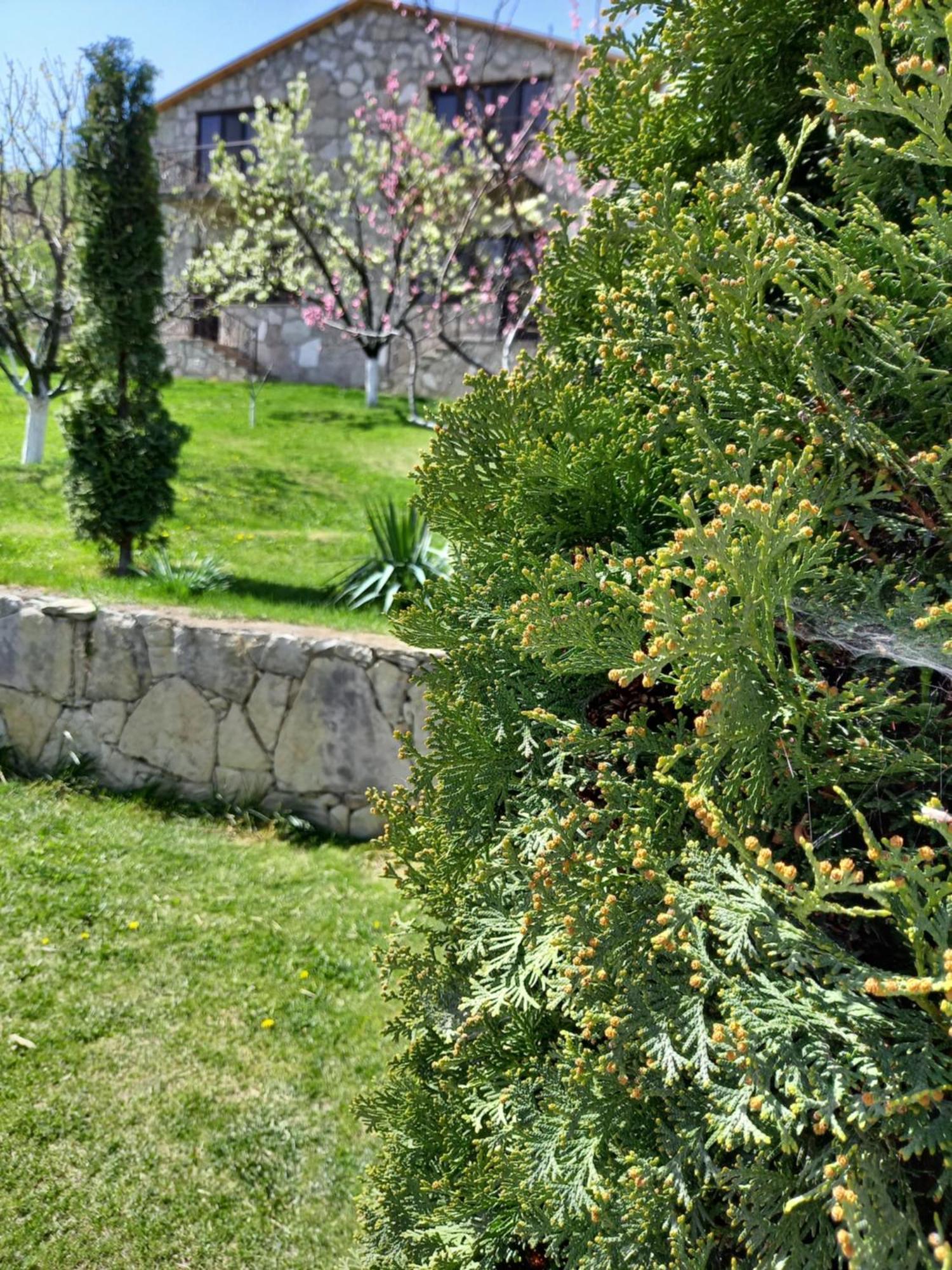 Guest House Ijevan'S Garden Exterior photo