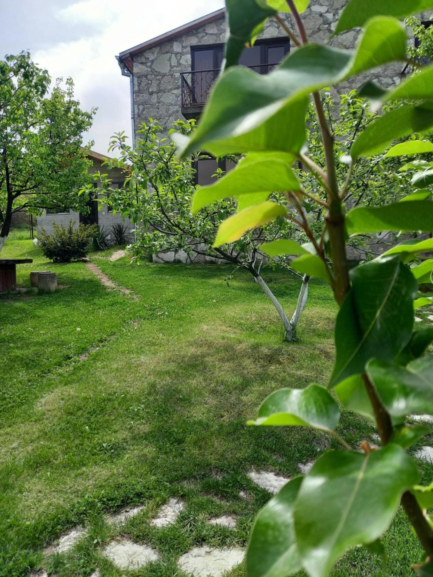Guest House Ijevan'S Garden Exterior photo